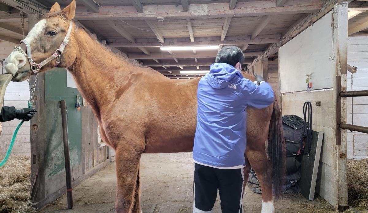 fc5d5605c8c65f97a3dd972739ecf846-1776211094.jpg fc5d5605c8c65f97a3dd972739ecf846-1776211094.jpg